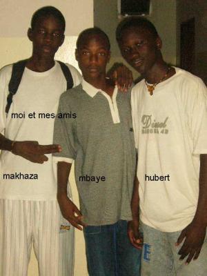 slt comen cava